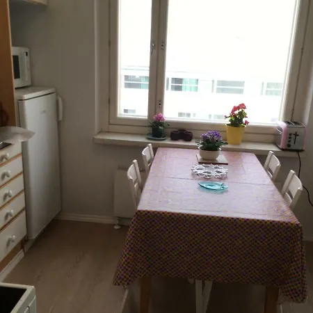 Goahti Apt- Central, River View, Top Floor *